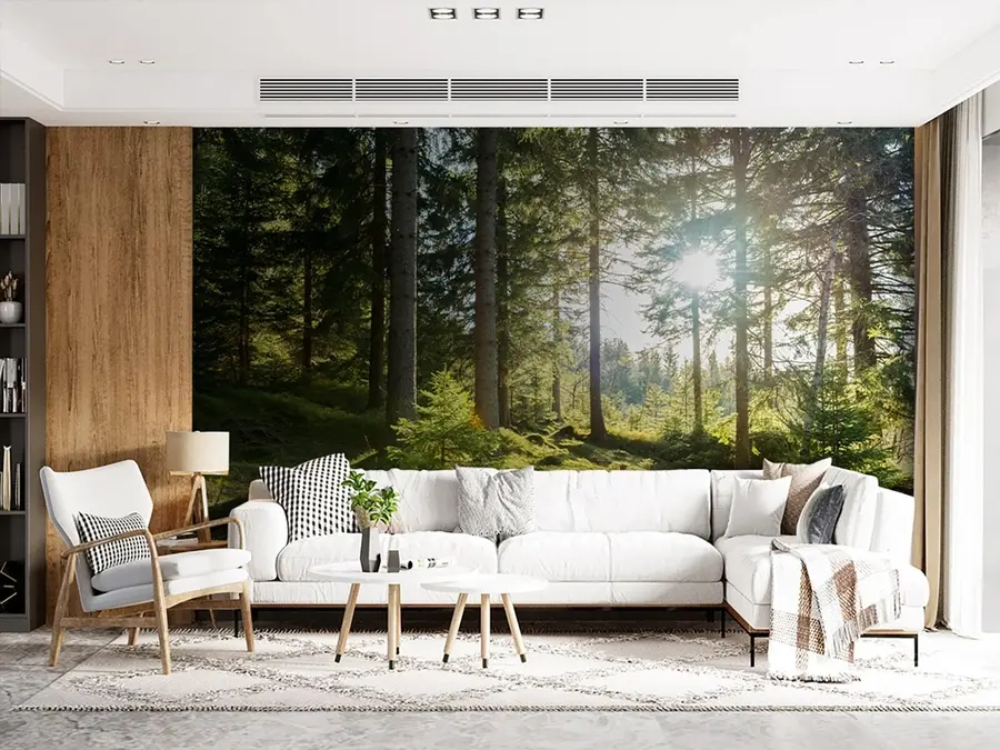 Carta da parati nature Monti Carkonoshe in Polonia 