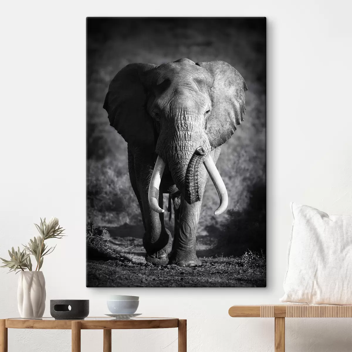 carta da parati Pianta, elefante e occhio nr. s08133
