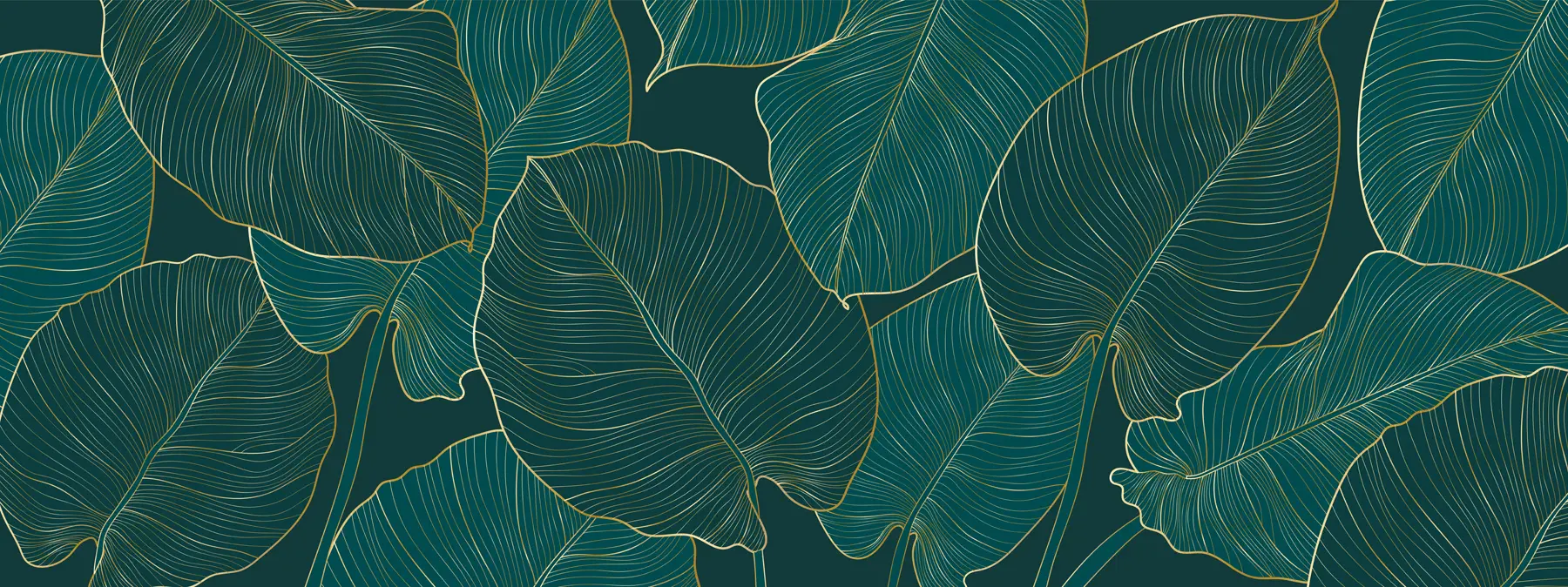 Carta da parati Tropici della Foresta Filodendro n. u73653