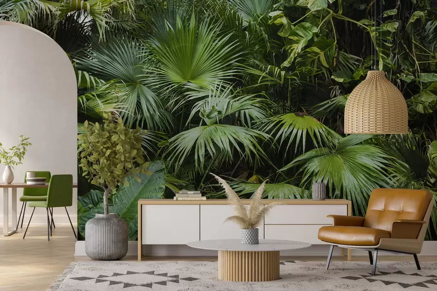 Carta da parati nature Foglie bagnate nella giungla 