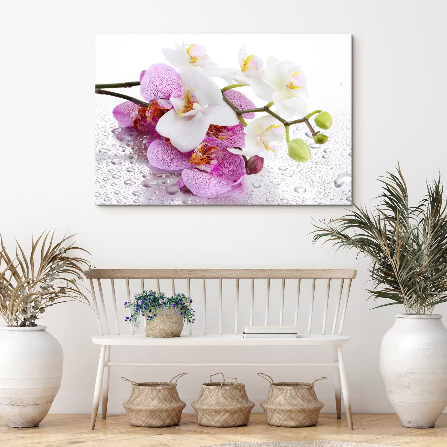 carta da parati Fiore, pianta e petalo nr. s15063