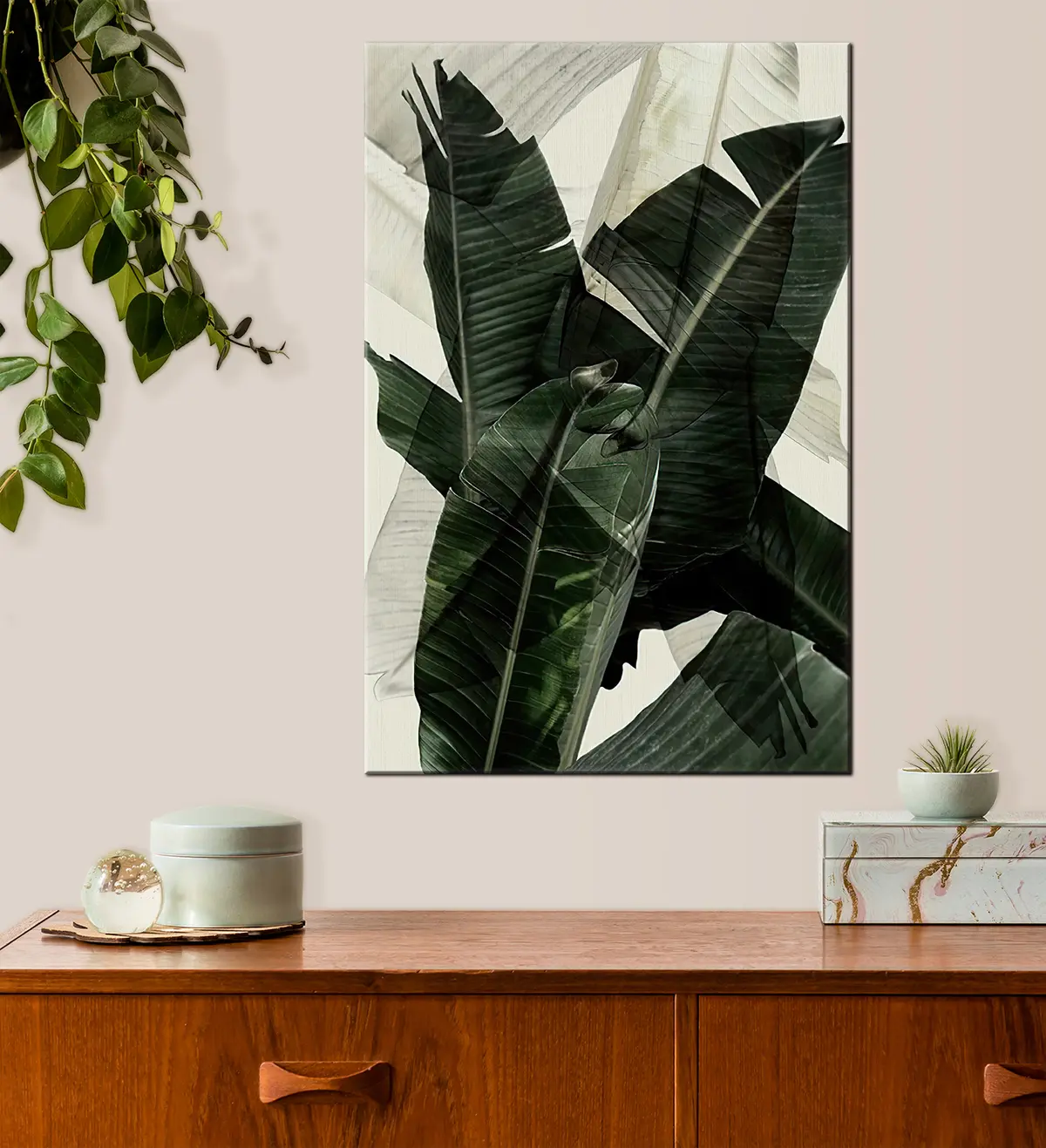 carta da parati Pianta, pianta terrestre e foglia di banano nr. s21747