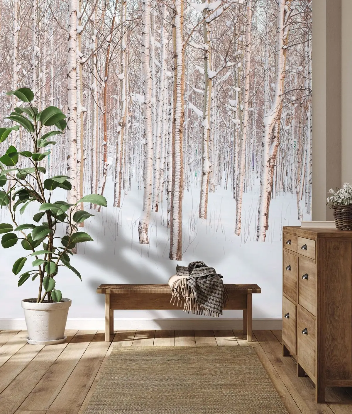 carta da parati Foresta di betulla nella neve nr. u74232