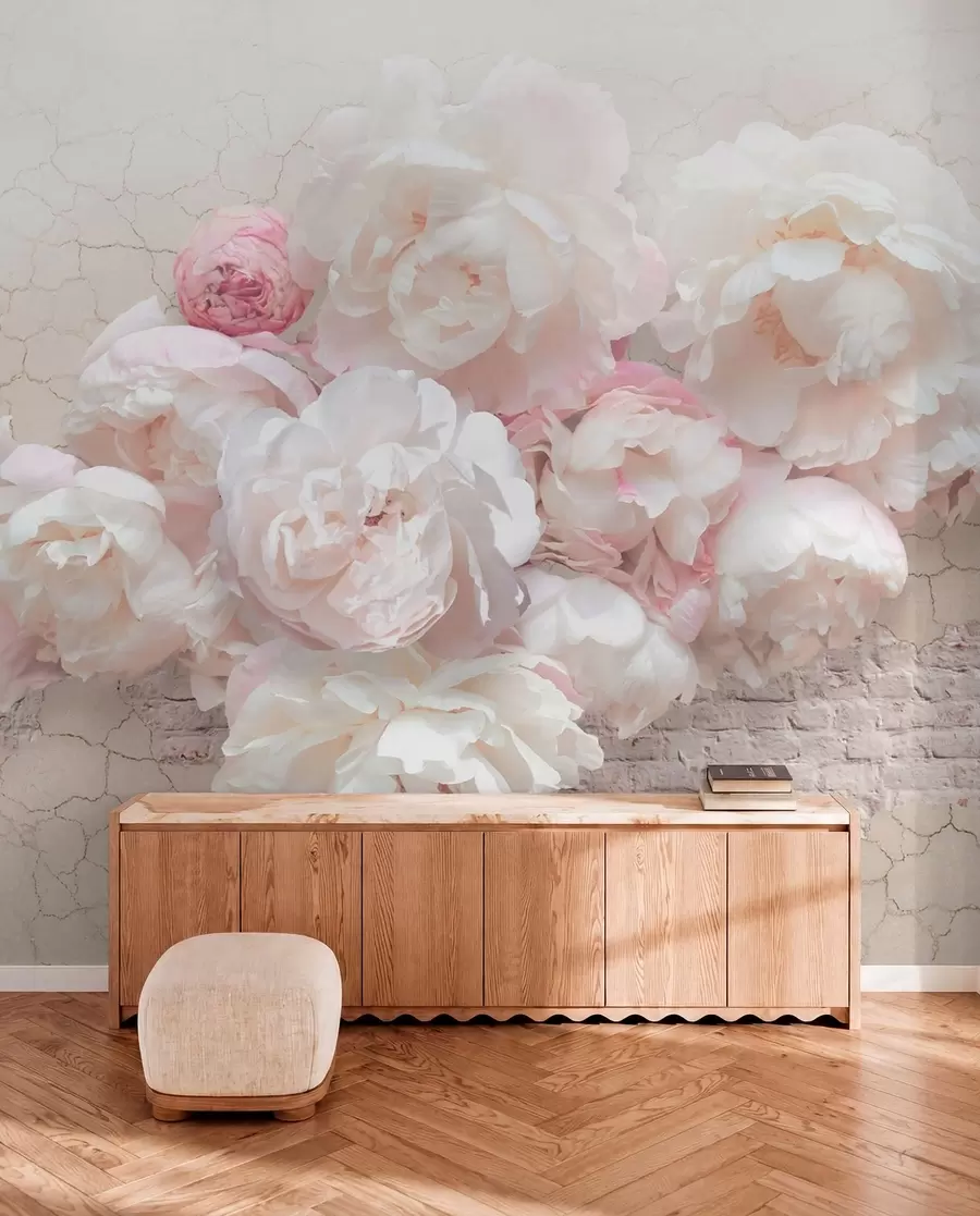 Carta da parati Floreale Peonie bianche su un muro fatiscente n. u79549