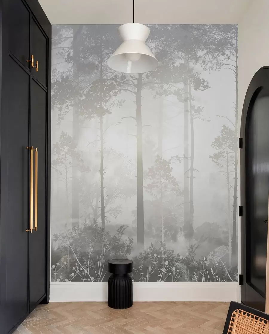 Carta da parati Foresta Nebbiosa Foresta nella nebbia n. u94439