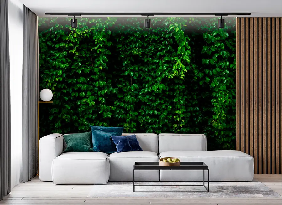 carta da parati foglia tropicale verde scuro nr. u94381