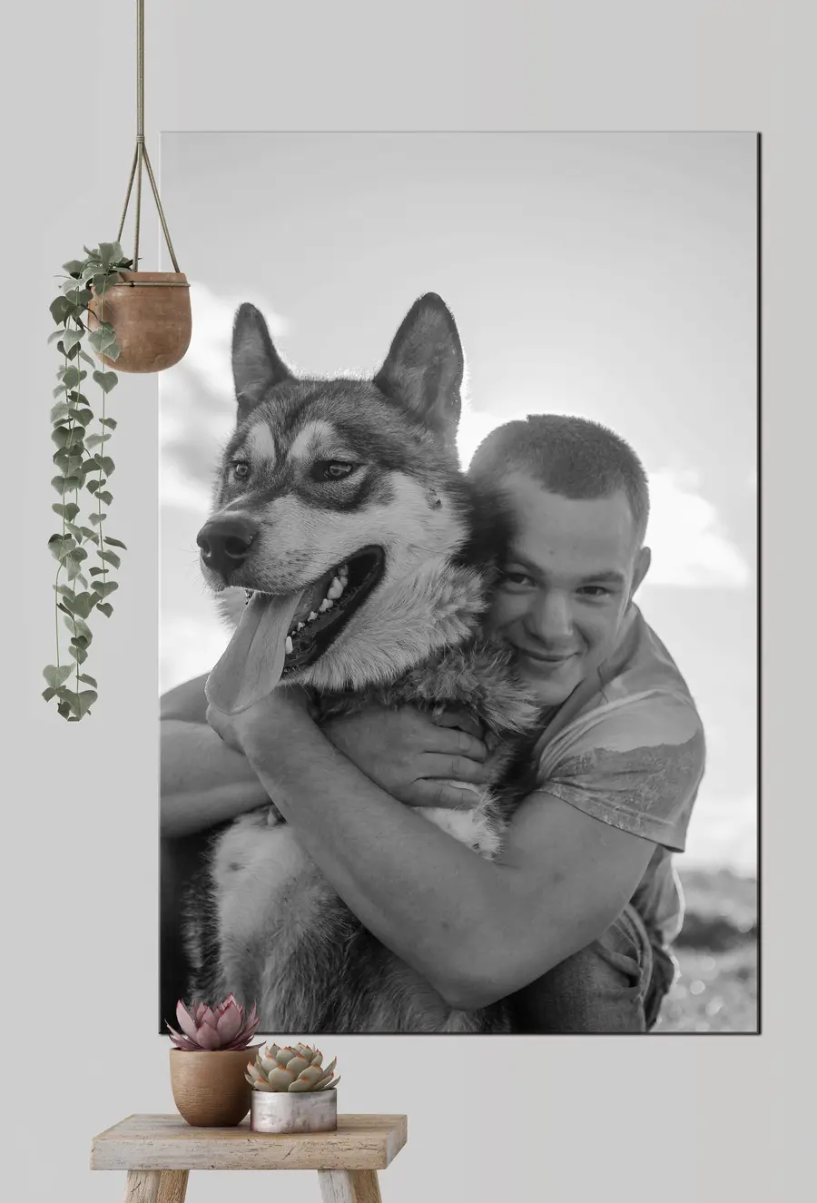 carta da parati Cane, razza e manica nr. s33339