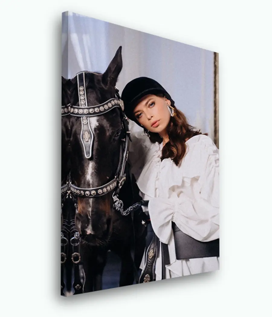 carta da parati Cavallo, pianta e manica nr. s33405