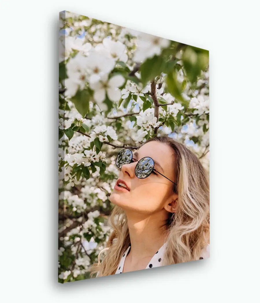 carta da parati Occhiali da sole, cura della vista e piante nr. s33425