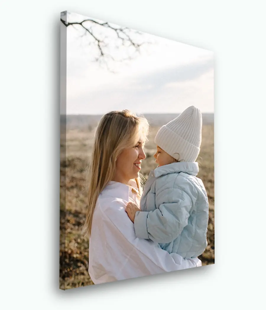 carta da parati Cielo, vaso e pianta nr. s33460