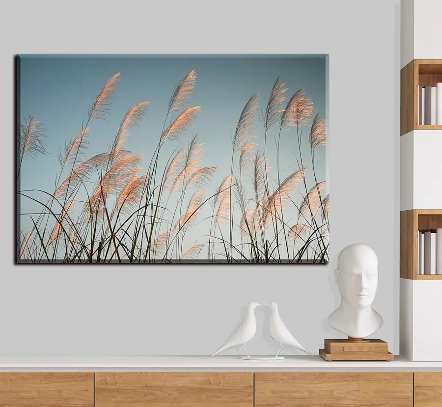 carta da parati Cielo, pianta e ramoscello nr. s33593