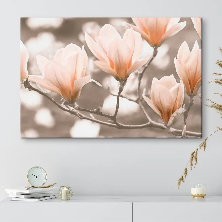 carta da parati Fiore, pianta e petalo nr. s35232