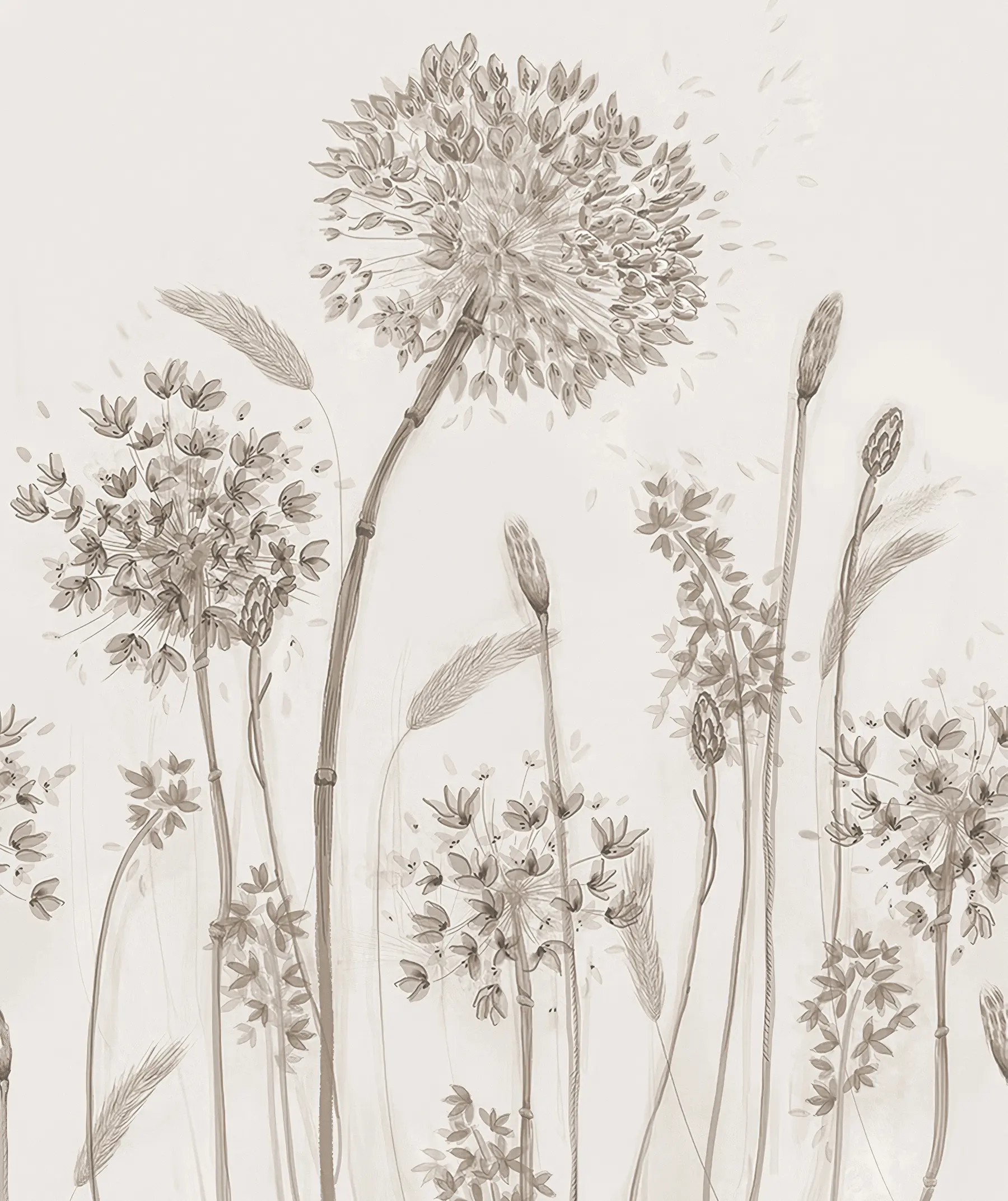 Carta da parati Floreale Grandi fiori di prato di denti di leone minimalismo loft in stile monocromatico n. u96934