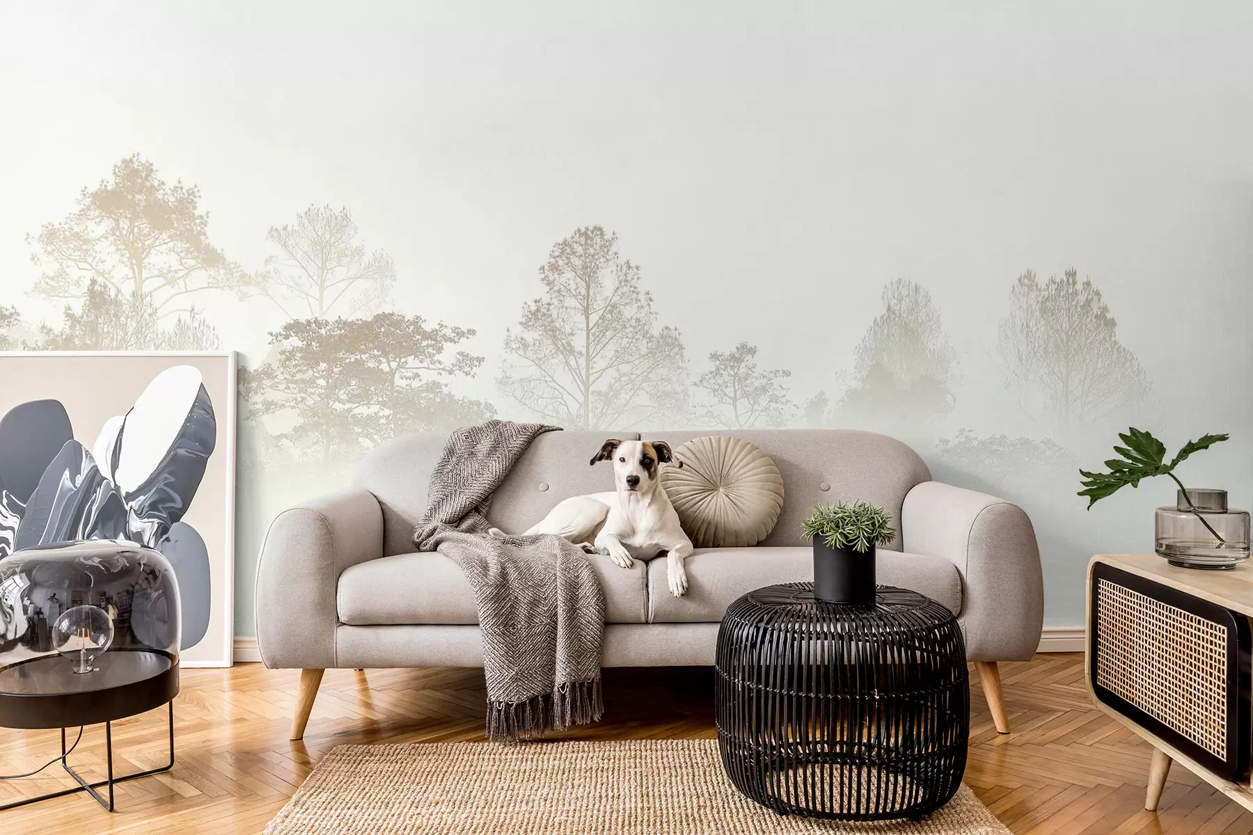 Carta da parati Foresta Nebbiosa Siluetta di un boschetto di alberi nella fitta nebbia bianca mattutina n. u97405