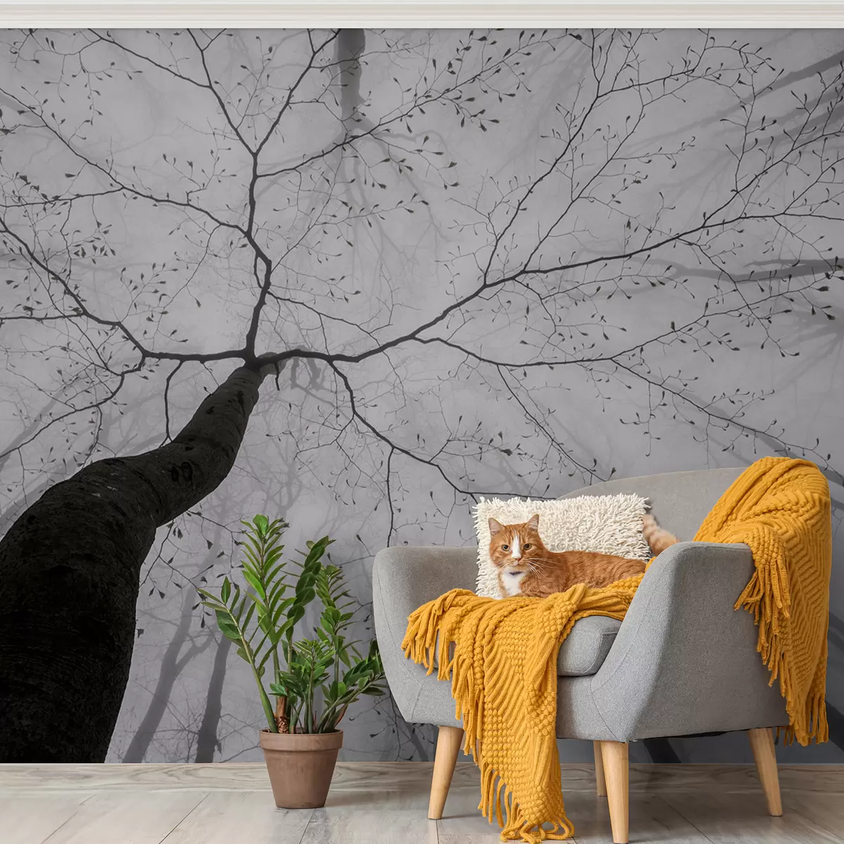 carta da parati Una mattina nebbiosa nella foresta nr. u97391