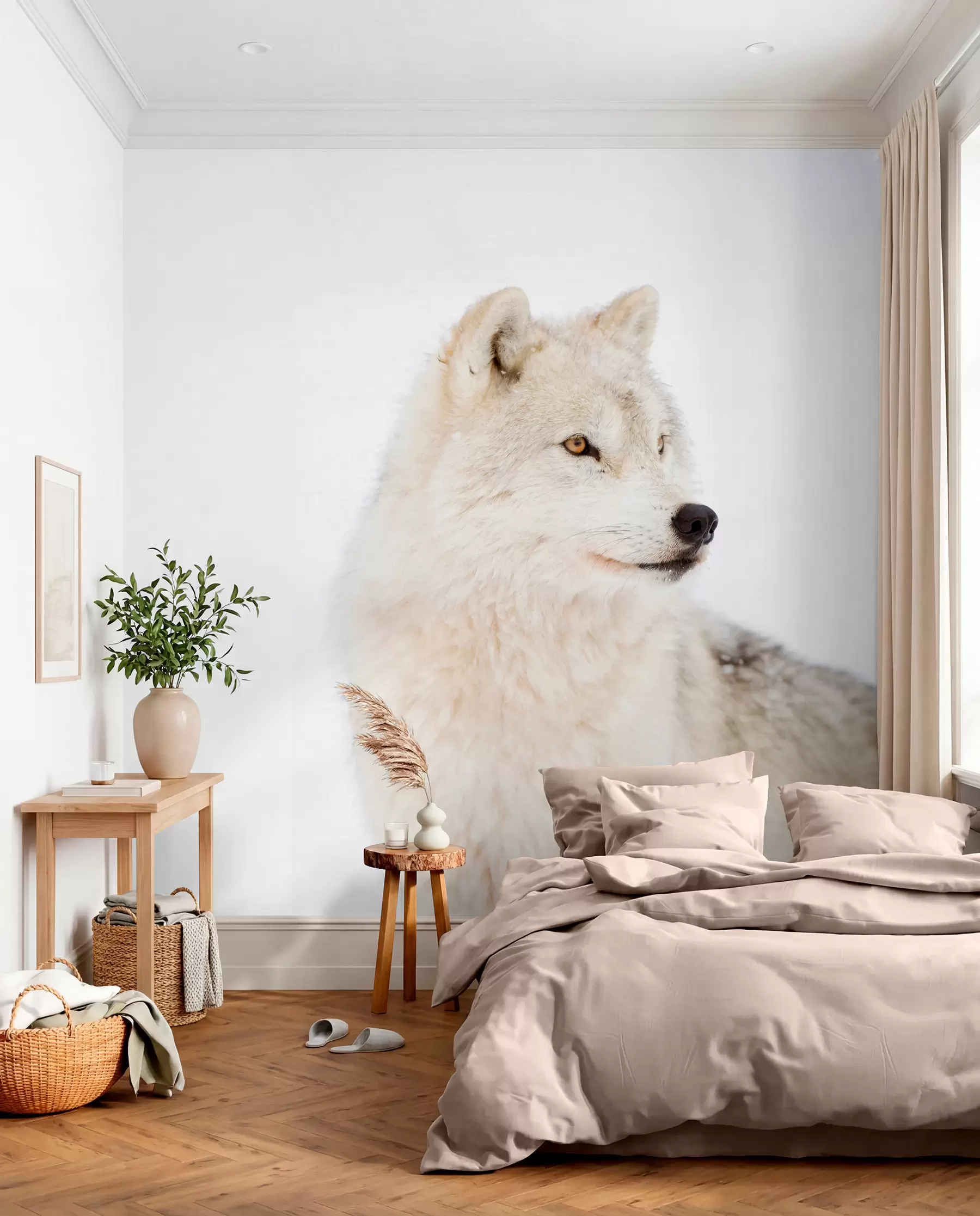 carta da parati Arctic Wolf su uno sfondo bianco nr. u98189
