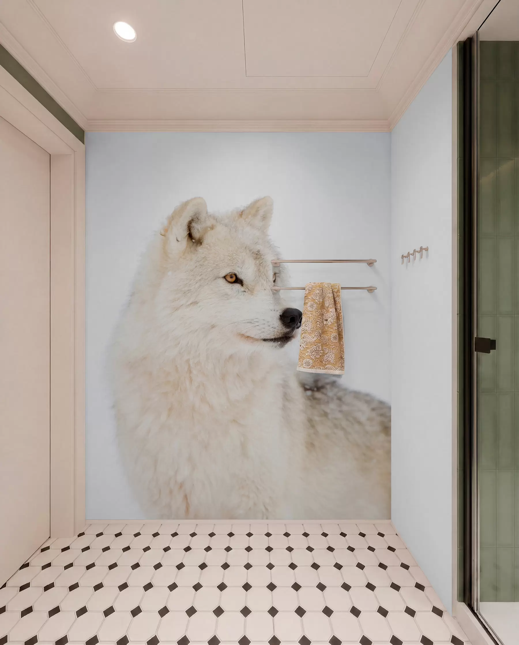 carta da parati Arctic Wolf su uno sfondo bianco nr. u98189