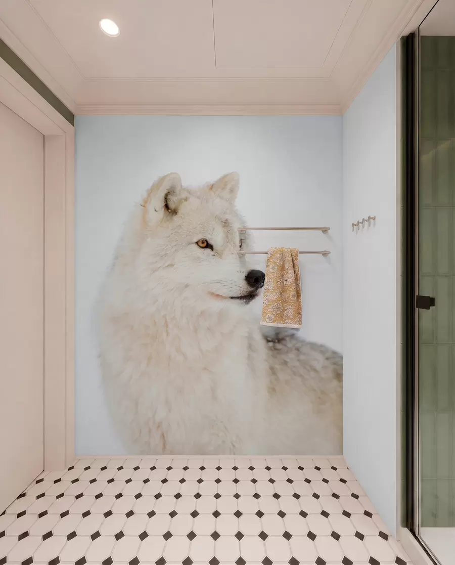 carta da parati Arctic Wolf su uno sfondo bianco nr. u98189
