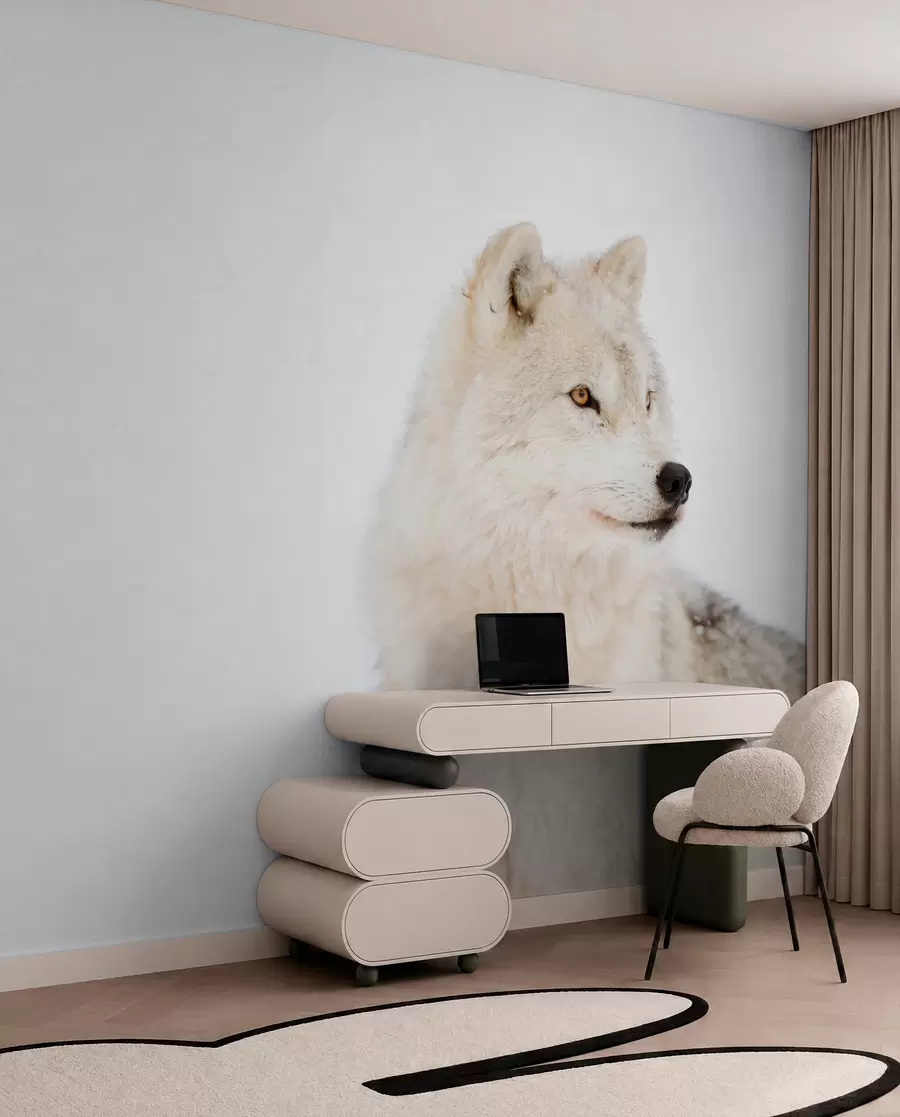 carta da parati Arctic Wolf su uno sfondo bianco nr. u98189