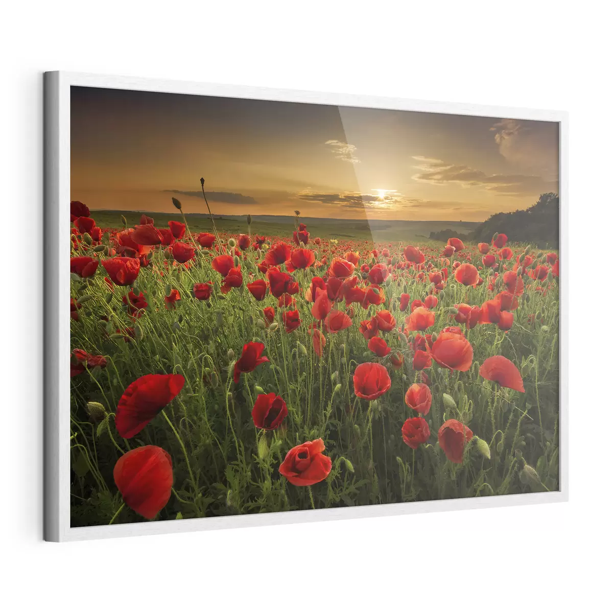 Poster Fiori e abbraccio f05477