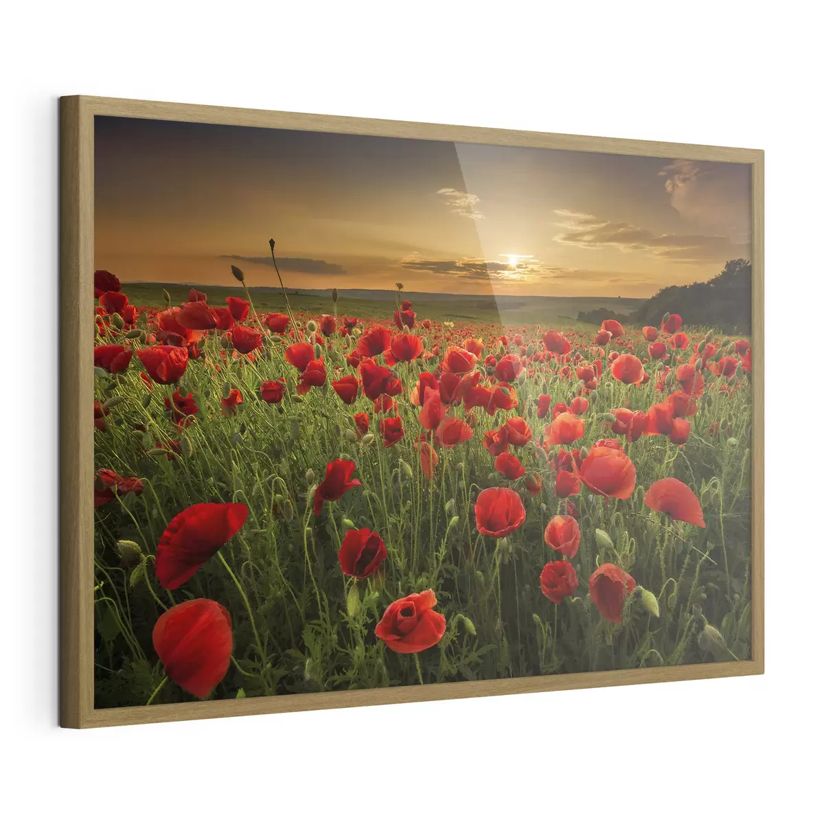 Poster Fiori e abbraccio f05477