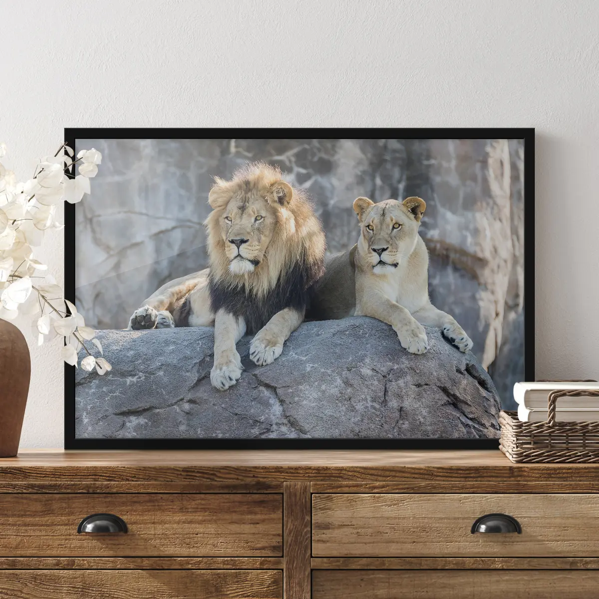 Poster Maestosi leoni che riposano insieme pacificamente f15278