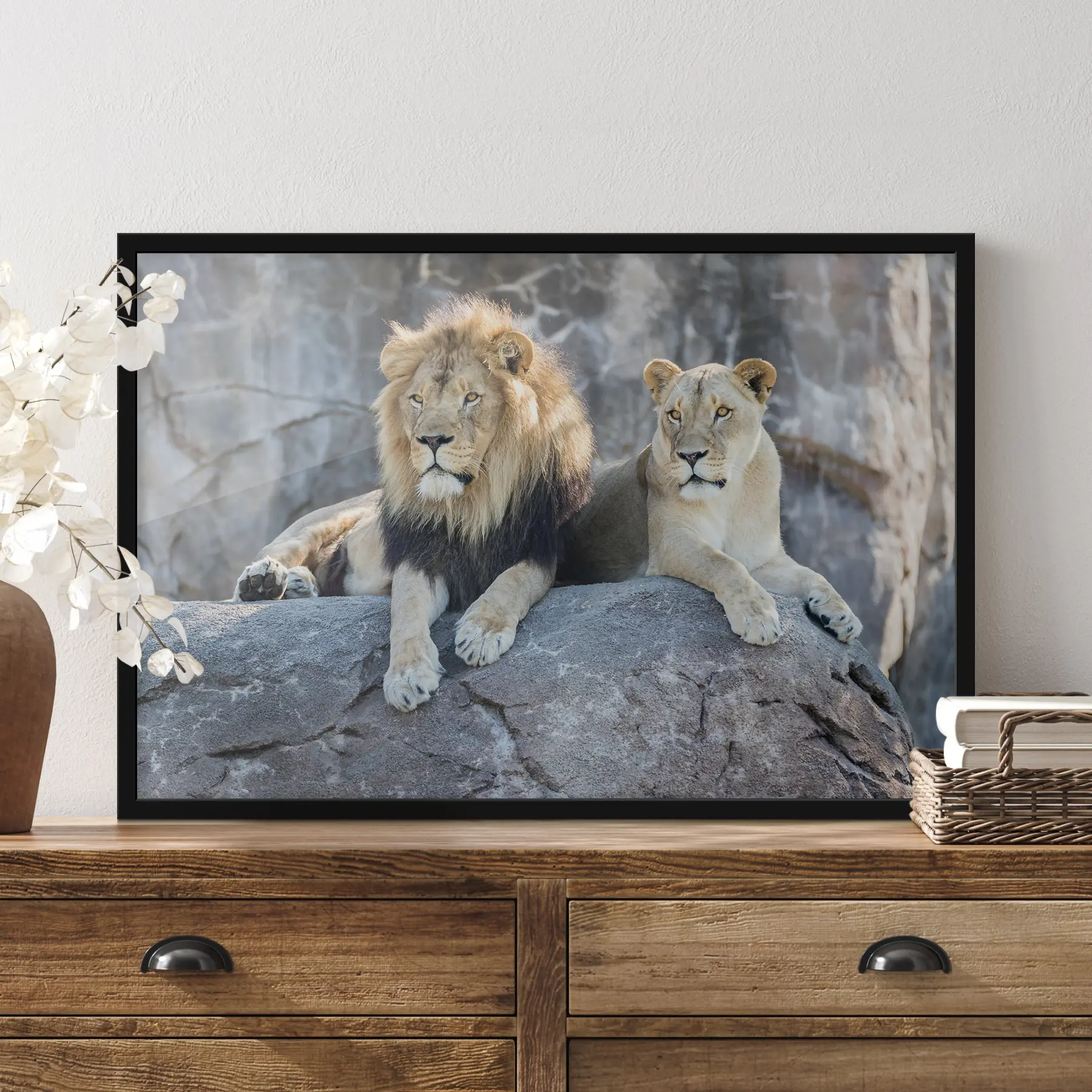 carta da parati Maestosi leoni che riposano insieme pacificamente nr. f15278