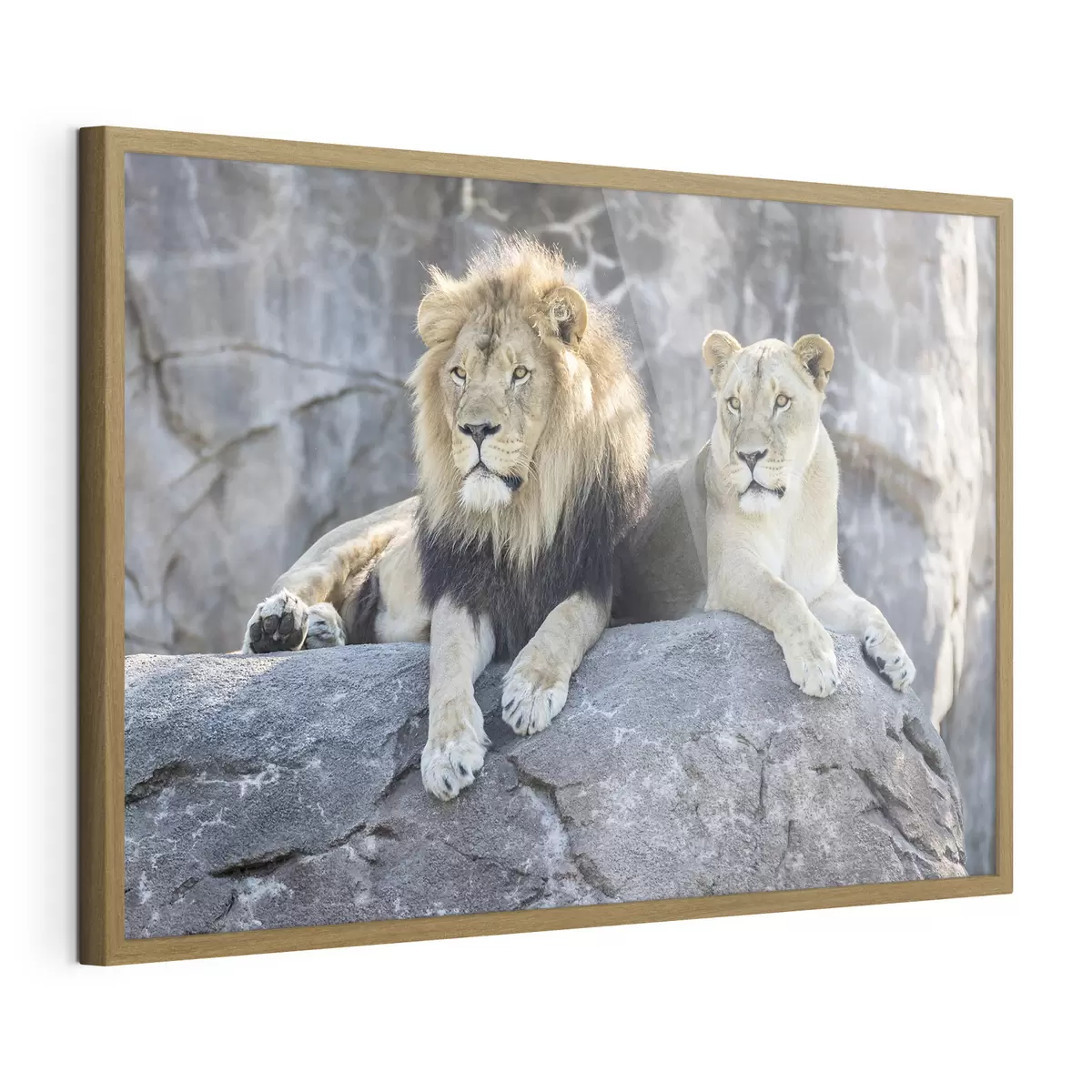 Poster Leone e fiducia f15278
