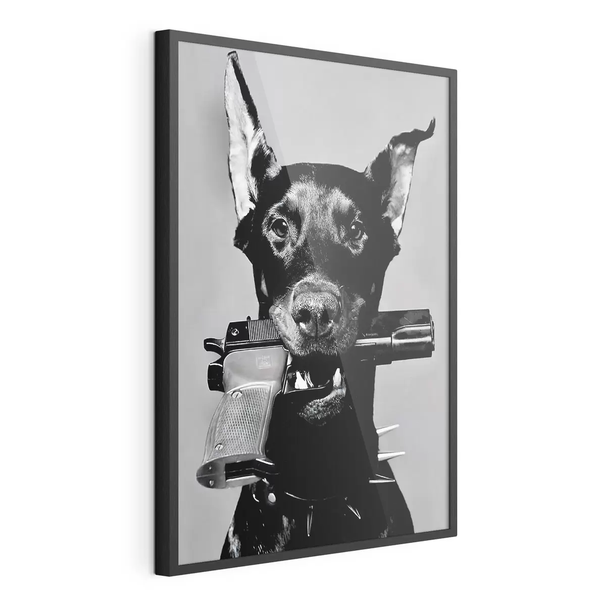 Poster Dobermann in bianco e nero f36177