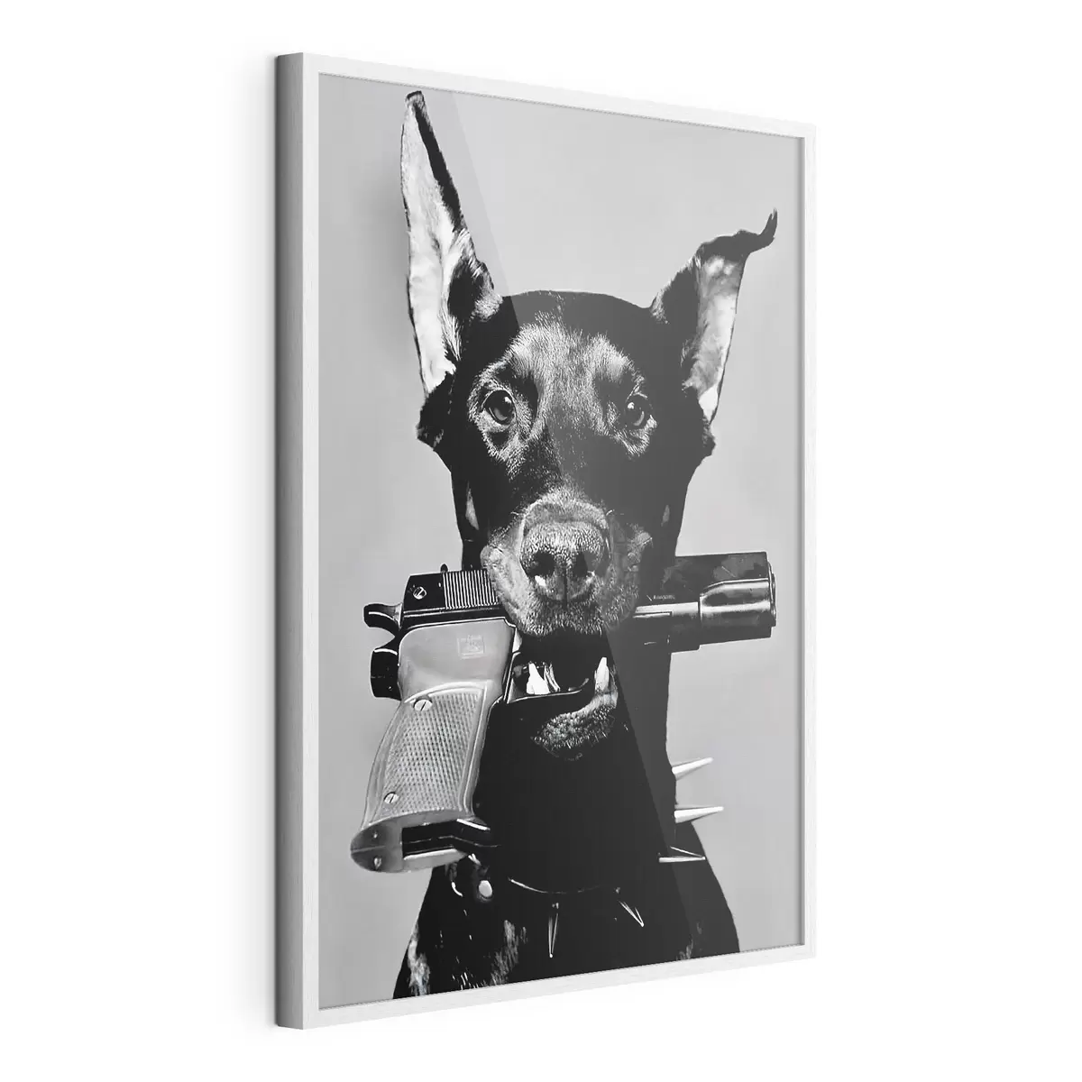 Poster Dobermann in bianco e nero f36177