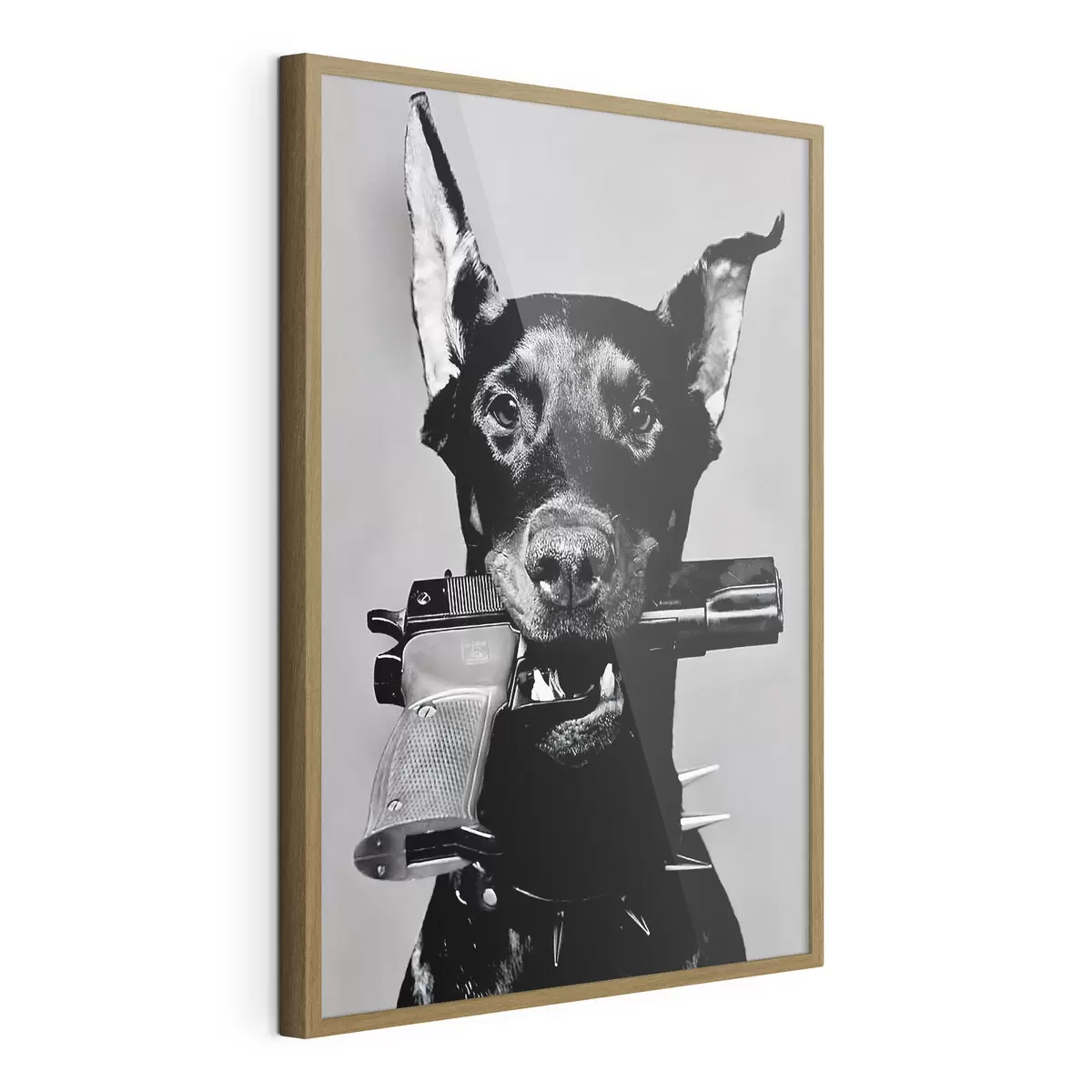 Poster Dobermann in bianco e nero f36177