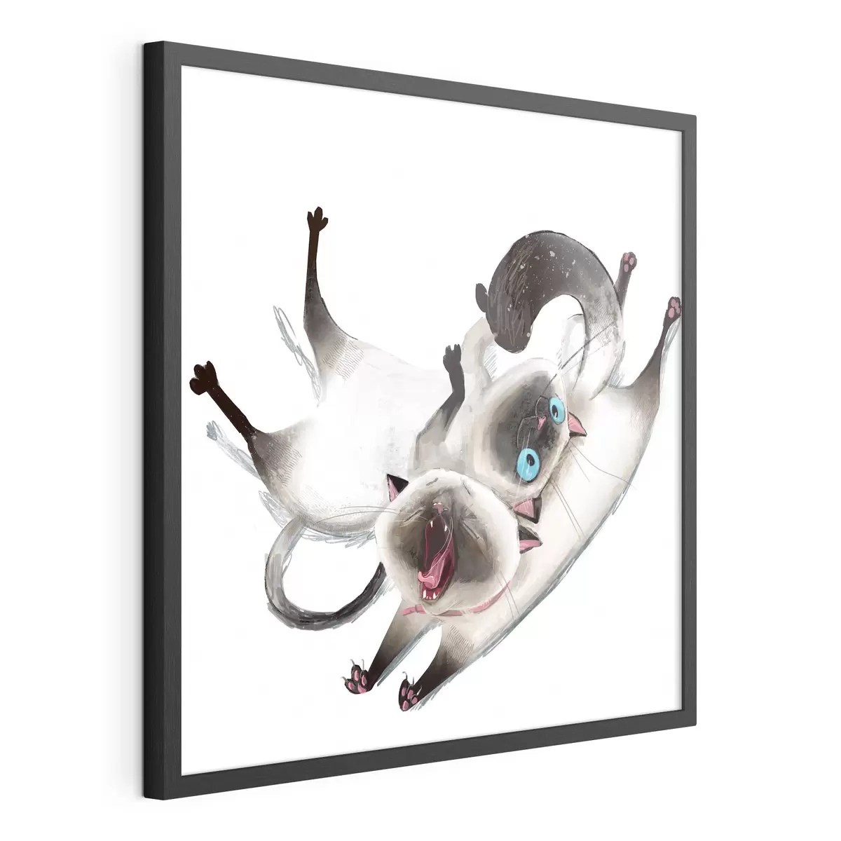 Poster Due gatti siamesi f34990