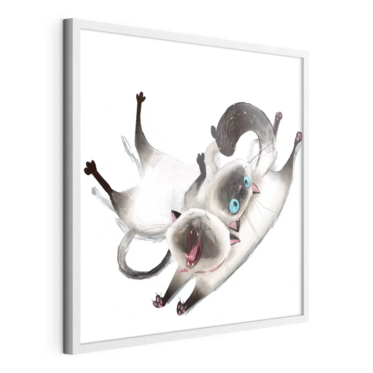 Poster Due gatti siamesi f34990