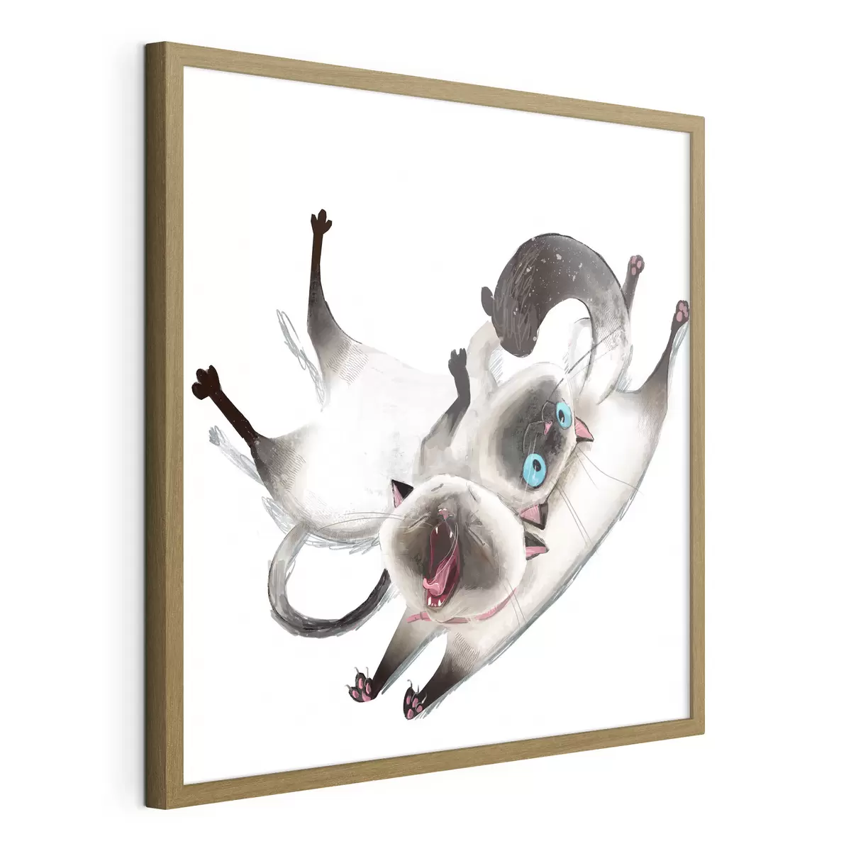 Poster Due gatti siamesi f34990