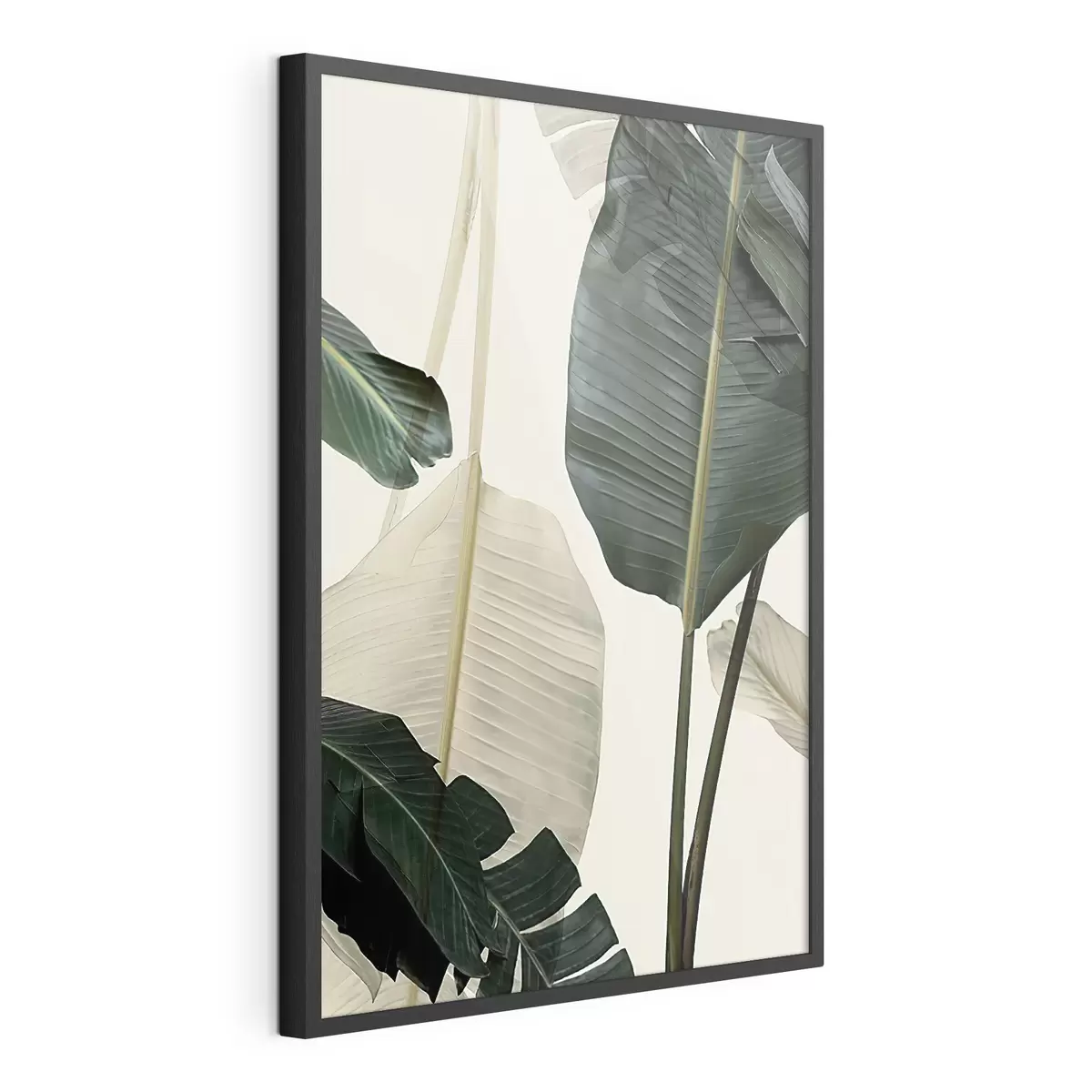 Poster Foglie verdi e rigogliose in una luce soffusa f21746