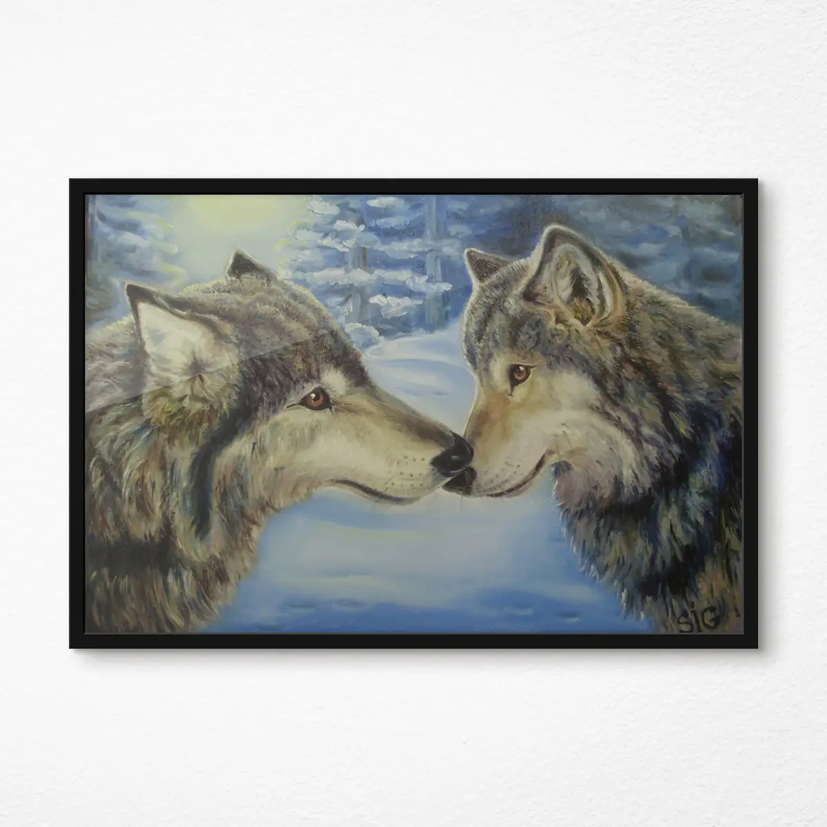 Poster Due lupi che condividono un momento f15354