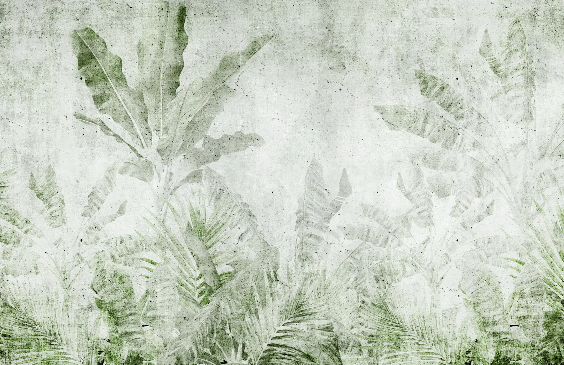 carta da parati Foglie di banano su un muro di cemento nr. u73886v3