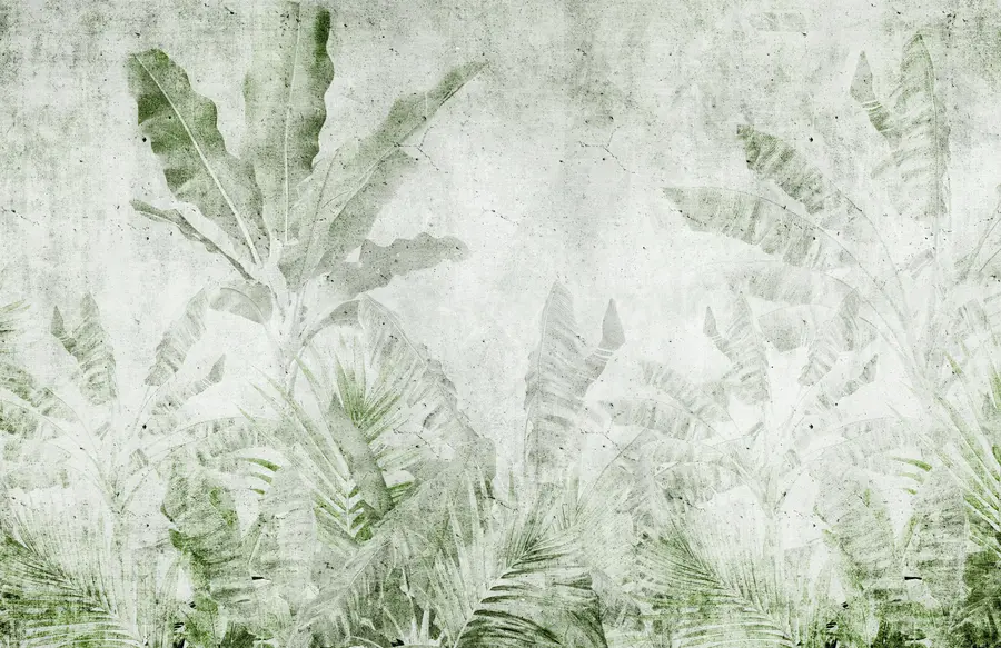 carta da parati Foglie di banano su un muro di cemento nr. u73886v3