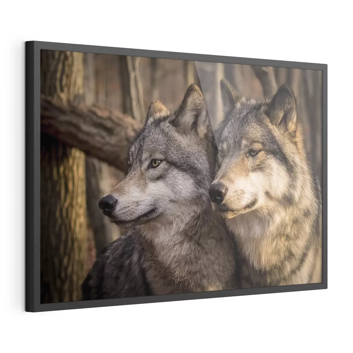 Poster Sguardo e fiducia f15522