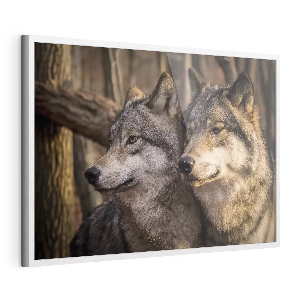 Poster Sguardo e fiducia f15522