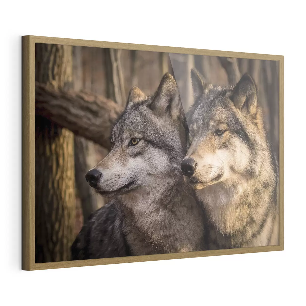 Poster Sguardo e fiducia f15522