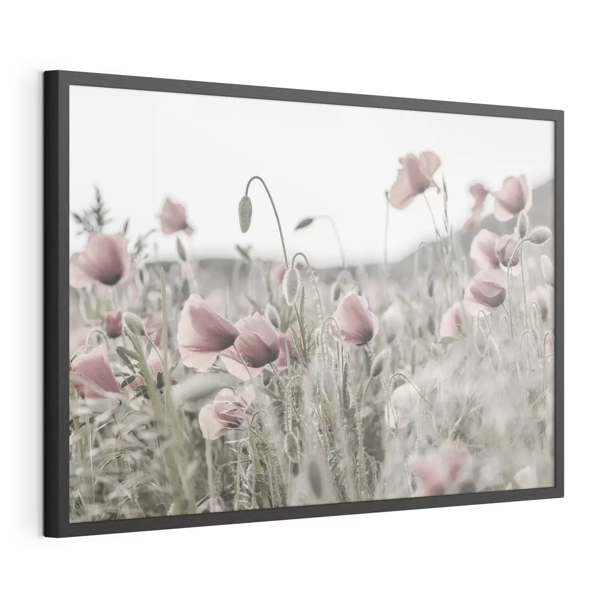 Poster Sussurri di rosa nella brezza f35592