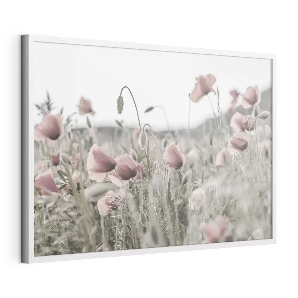 Poster Sussurri di rosa nella brezza f35592