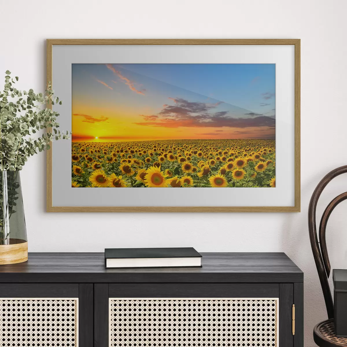 Poster Campo di girasoli al tramonto. Una bella vista f05429