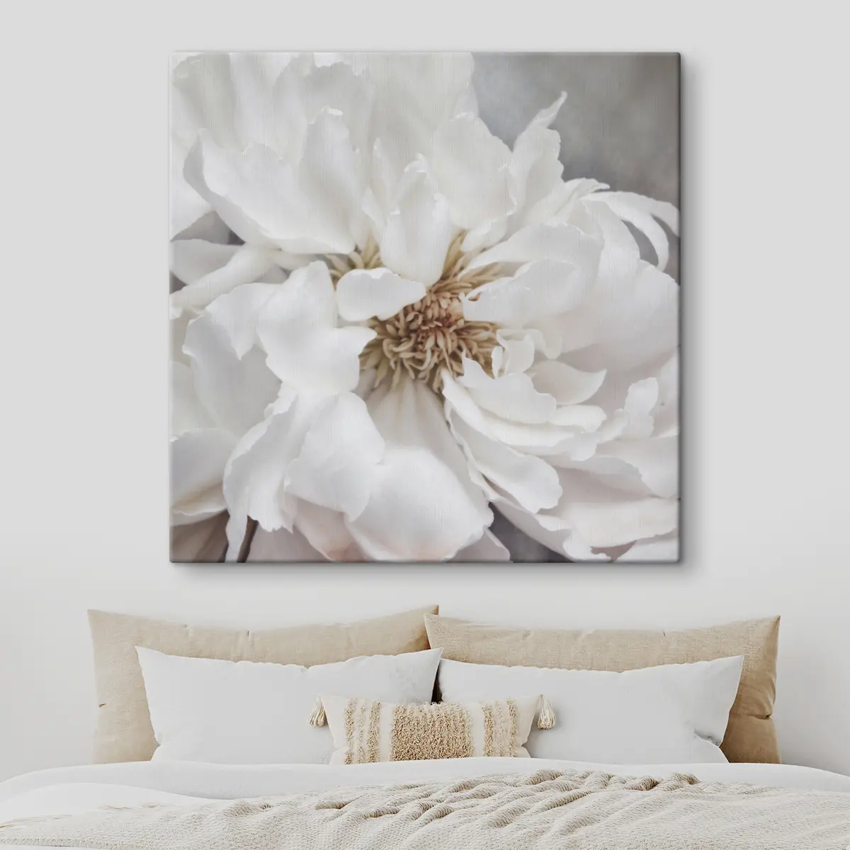 carta da parati Elegante fioritura bianca in luce soffusa nr. s37161